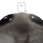 @Caeatt