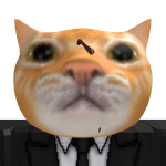 @oxotixs