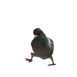 @DylanRoblox0123