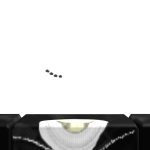@753274271913572