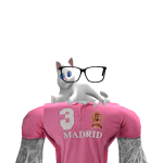 @RobloxMasterTyson