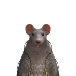 @turd_rocket12345
