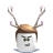 drandison