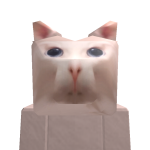 @bambosss
