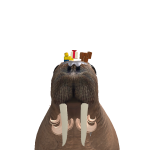 @roblox_user_2344656967
