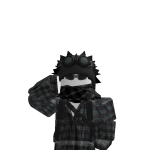 @Nitrotypeerr