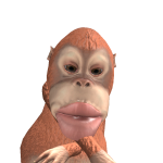 @snootpoots