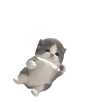 @min0o_0859