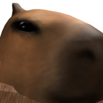 @tomatopotatoboys