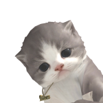 @Cyxiieeee