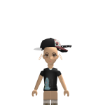 @roblopartytim