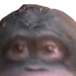 @Gmrthn