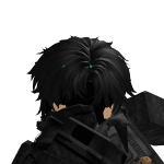 @WildWolfRoblox1234