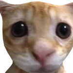 @Vasilisot321