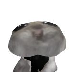@spijkerkind