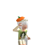 dolfijn6644