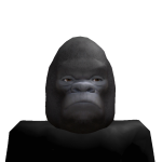 @joessister1