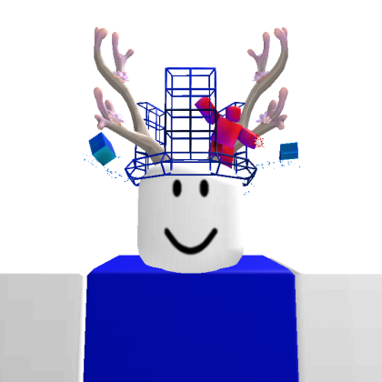 coolid514