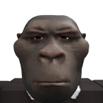 @crazygamer7544