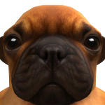 @agvsia0o