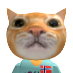@Storm_fax