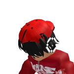 @Who1sHN