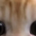 @Whiteb10