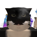 @DarkCat_523