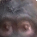 @Mjkyeet