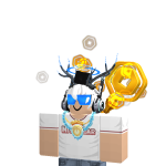 RIP_System