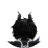 FinHirst
