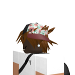 @LucasRobloxStudio5
