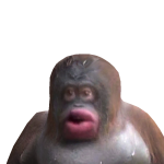 @Abbiedabdo9