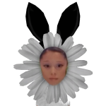 @jellleralol555