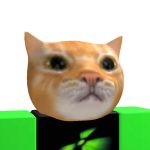 @faintsupercat4
