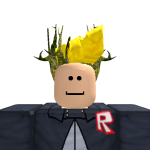 @roblox_user_167626726