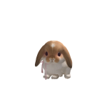 @Bnbnnnnjdndnsjnsnann