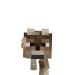 @AndrewWlndsor
