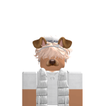 @TylerRoblox2134
