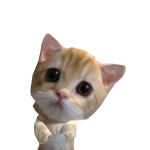 @Chfhch11