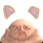 @2flyingrats