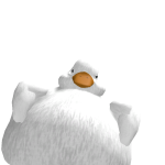@soft_bunny7