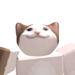 @turkwrr