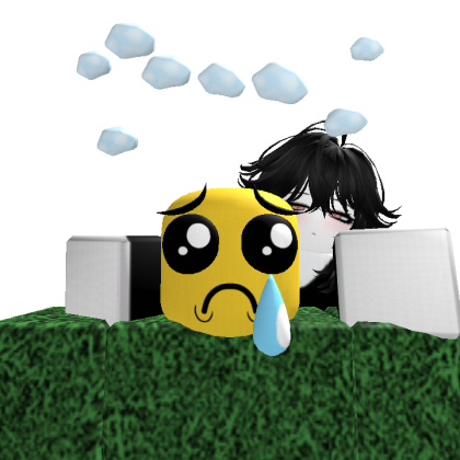 Roblox profile picture for @transform