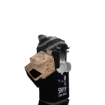 @roblox1273165