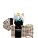@justinosh06