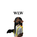 @fw_bandz0