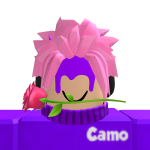 @Camouflage_YT