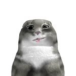 @wewit0A219
