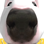 @PointyNoses